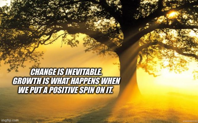 nature | CHANGE IS INEVITABLE. GROWTH IS WHAT HAPPENS WHEN WE PUT A POSITIVE SPIN ON IT. | image tagged in nature | made w/ Imgflip meme maker