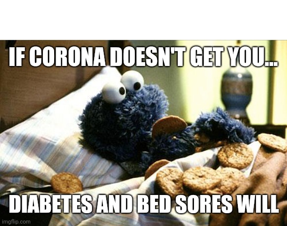 cookie monster bed | IF CORONA DOESN'T GET YOU... DIABETES AND BED SORES WILL | image tagged in cookie monster bed | made w/ Imgflip meme maker
