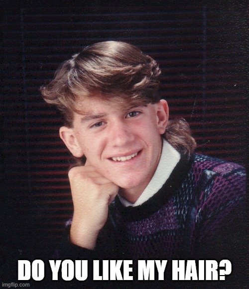 Mullet | DO YOU LIKE MY HAIR? | image tagged in mullet,hair,1990s first world problems,1990's | made w/ Imgflip meme maker