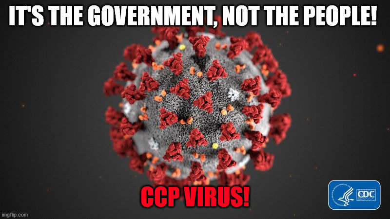 Covid 19 |  IT'S THE GOVERNMENT, NOT THE PEOPLE! CCP VIRUS! | image tagged in covid 19 | made w/ Imgflip meme maker