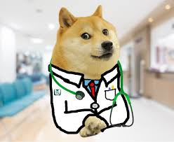 doctor doge Blank Meme Template