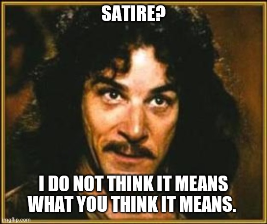 princess bride | SATIRE? I DO NOT THINK IT MEANS WHAT YOU THINK IT MEANS. | image tagged in princess bride | made w/ Imgflip meme maker