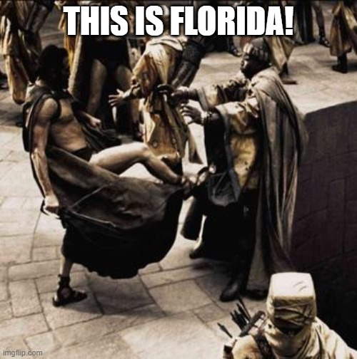 Spartan kick | THIS IS FLORIDA! | image tagged in spartan kick | made w/ Imgflip meme maker