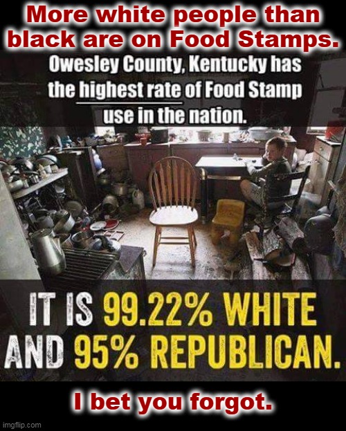 More white people than black are on Food Stamps. I bet you forgot. | image tagged in food stamps,white trash,republicans | made w/ Imgflip meme maker