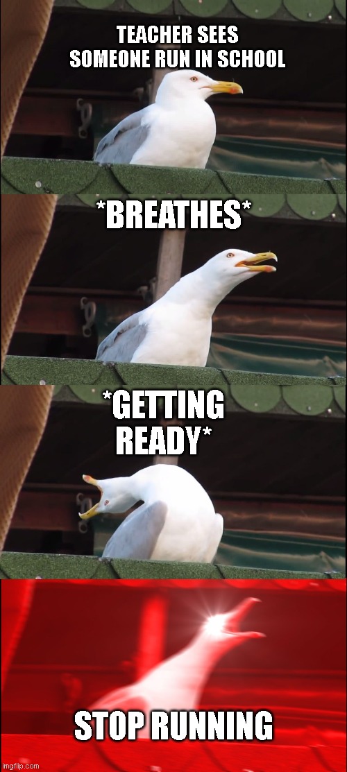 Inhaling Seagull Meme | TEACHER SEES SOMEONE RUN IN SCHOOL; *BREATHES*; *GETTING READY*; STOP RUNNING | image tagged in memes,inhaling seagull | made w/ Imgflip meme maker