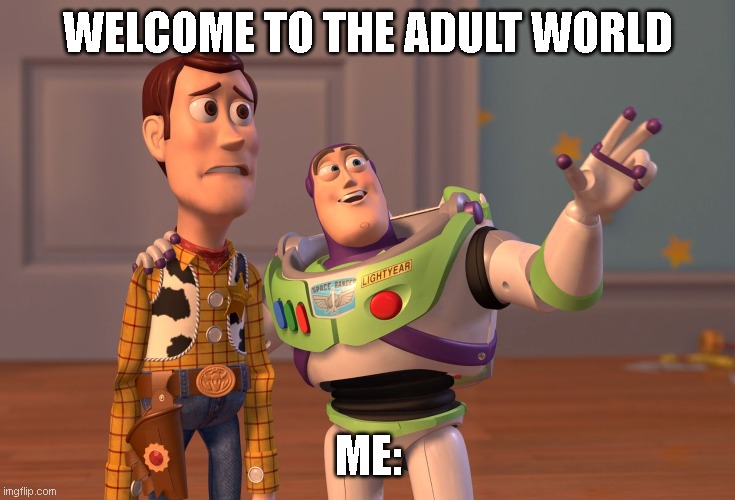 X, X Everywhere Meme | WELCOME TO THE ADULT WORLD; ME: | image tagged in memes,x x everywhere | made w/ Imgflip meme maker