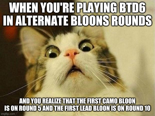 Scared Cat | WHEN YOU'RE PLAYING BTD6 IN ALTERNATE BLOONS ROUNDS; AND YOU REALIZE THAT THE FIRST CAMO BLOON IS ON ROUND 5 AND THE FIRST LEAD BLOON IS ON ROUND 10 | image tagged in memes,scared cat | made w/ Imgflip meme maker