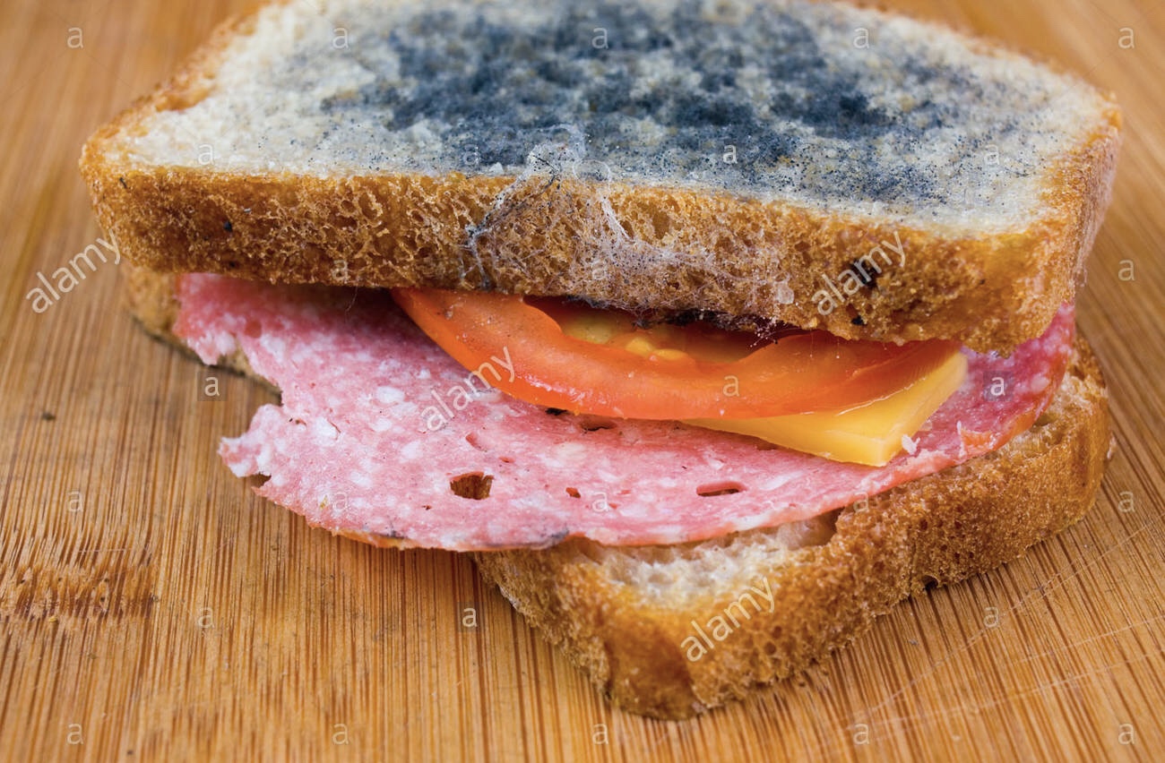 Moldy Ham Sandwich Blank Meme Template