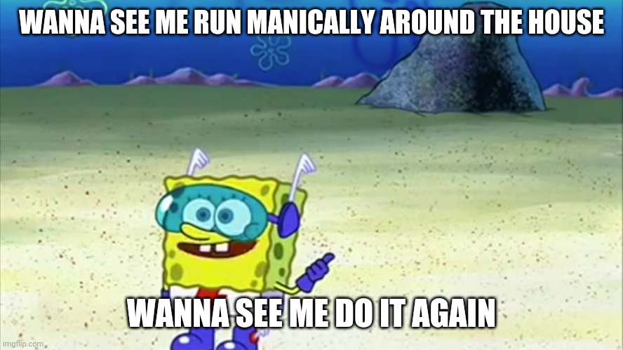 This is my cat right now |  WANNA SEE ME RUN MANICALLY AROUND THE HOUSE; WANNA SEE ME DO IT AGAIN | image tagged in spongebob wanna see me do it again | made w/ Imgflip meme maker