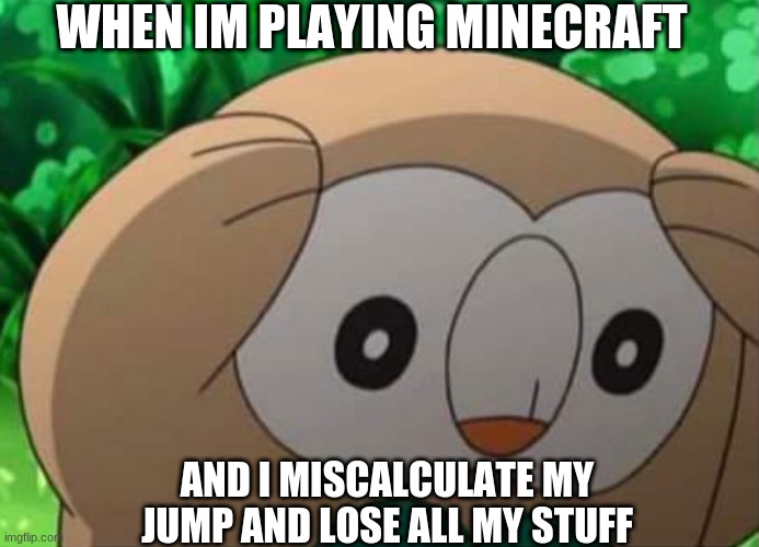 panicked rowlet | WHEN IM PLAYING MINECRAFT; AND I MISCALCULATE MY JUMP AND LOSE ALL MY STUFF | image tagged in panicked rowlet | made w/ Imgflip meme maker