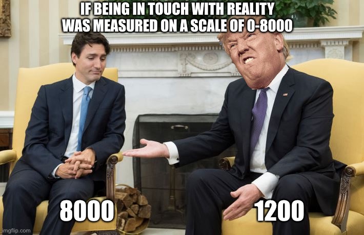Trudeau & Trump | IF BEING IN TOUCH WITH REALITY WAS MEASURED ON A SCALE OF 0-8000; 8000                               1200 | image tagged in trudeau  trump | made w/ Imgflip meme maker