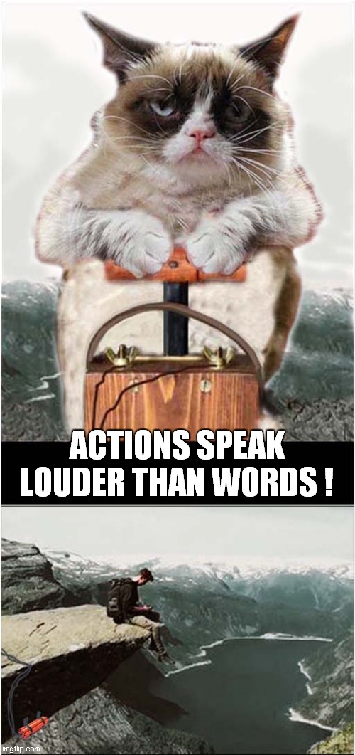 Grumpys Lovely Day In The Mountains | ACTIONS SPEAK LOUDER THAN WORDS ! | image tagged in fun,grumpy cat,explosion,mountains | made w/ Imgflip meme maker