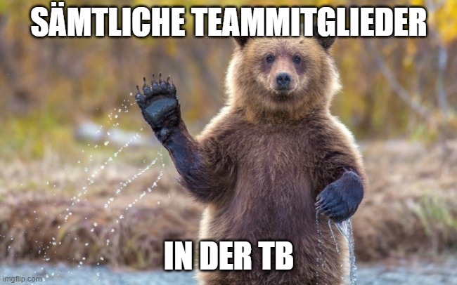 SÄMTLICHE TEAMMITGLIEDER IN DER TB | image tagged in bye bye bear | made w/ Imgflip meme maker