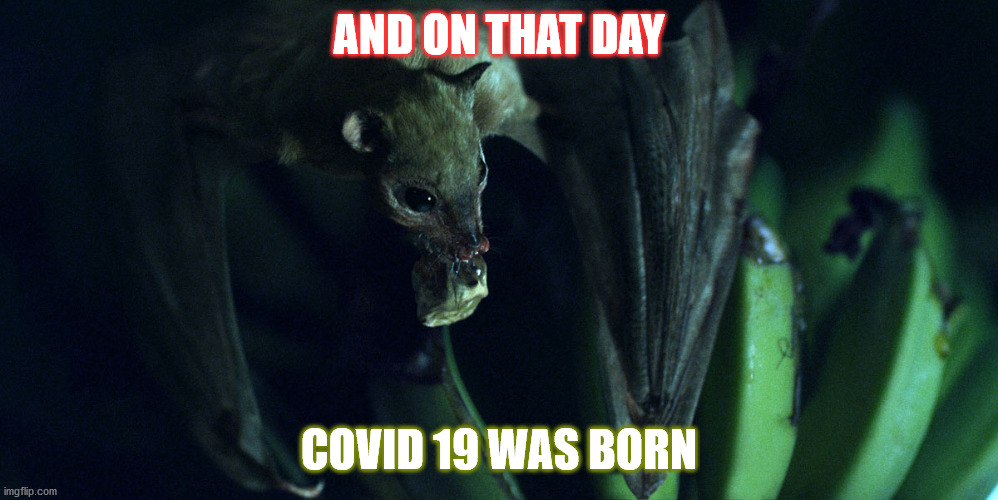 AND ON THAT DAY; COVID 19 WAS BORN | image tagged in covid-19 | made w/ Imgflip meme maker