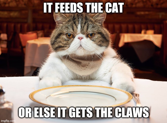 hungry cat | IT FEEDS THE CAT; OR ELSE IT GETS THE CLAWS | image tagged in hungry cat | made w/ Imgflip meme maker