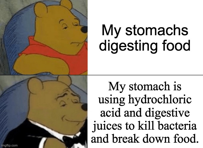 Tuxedo Winnie The Pooh | My stomachs digesting food; My stomach is using hydrochloric acid and digestive juices to kill bacteria and break down food. | image tagged in memes,tuxedo winnie the pooh | made w/ Imgflip meme maker