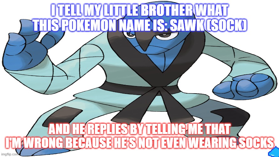 Sock   (Sawk) | I TELL MY LITTLE BROTHER WHAT THIS POKEMON NAME IS: SAWK (SOCK); AND HE REPLIES BY TELLING ME THAT I'M WRONG BECAUSE HE'S NOT EVEN WEARING SOCKS | image tagged in yup | made w/ Imgflip meme maker