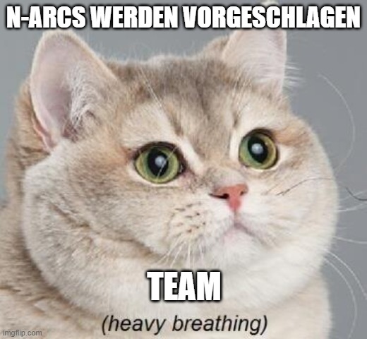 Heavy Breathing Cat Meme | N-ARCS WERDEN VORGESCHLAGEN TEAM | image tagged in memes,heavy breathing cat | made w/ Imgflip meme maker