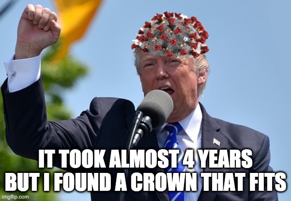 For every king a corona | IT TOOK ALMOST 4 YEARS BUT I FOUND A CROWN THAT FITS | image tagged in coronavirus,king trump | made w/ Imgflip meme maker