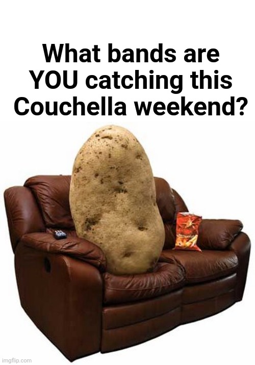 Couchella Festival | What bands are YOU catching this Couchella weekend? | image tagged in couch potato,concert,coachella,stay home | made w/ Imgflip meme maker