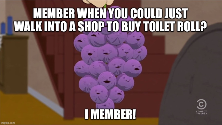 Member Berries | MEMBER WHEN YOU COULD JUST WALK INTO A SHOP TO BUY TOILET ROLL? I MEMBER! | image tagged in memes,member berries | made w/ Imgflip meme maker