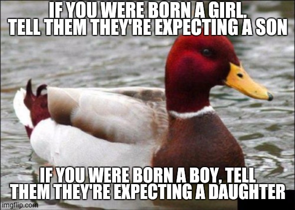 Malicious Advice Mallard Meme | IF YOU WERE BORN A GIRL, TELL THEM THEY'RE EXPECTING A SON IF YOU WERE BORN A BOY, TELL THEM THEY'RE EXPECTING A DAUGHTER | image tagged in memes,malicious advice mallard | made w/ Imgflip meme maker