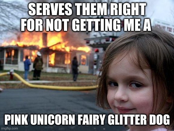 Disaster Girl Meme | SERVES THEM RIGHT FOR NOT GETTING ME A; PINK UNICORN FAIRY GLITTER DOG | image tagged in memes,disaster girl | made w/ Imgflip meme maker