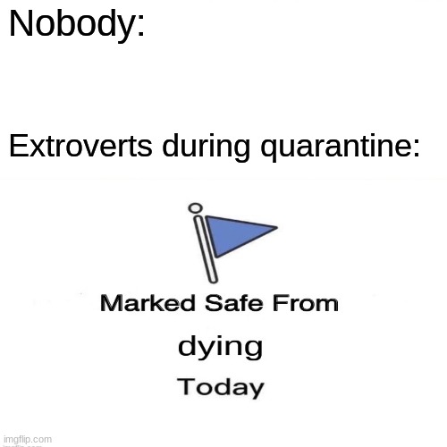 2020 | Nobody:; Extroverts during quarantine: | image tagged in marked safe from,quarantine | made w/ Imgflip meme maker