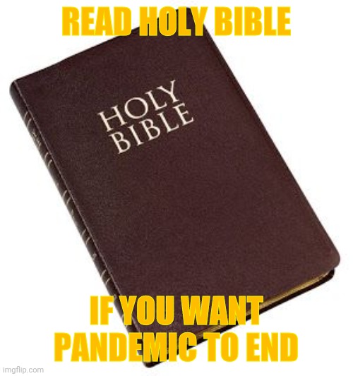 "Read Holy Bible" | READ HOLY BIBLE; IF YOU WANT PANDEMIC TO END | image tagged in holy bible,memes,coronavirus | made w/ Imgflip meme maker