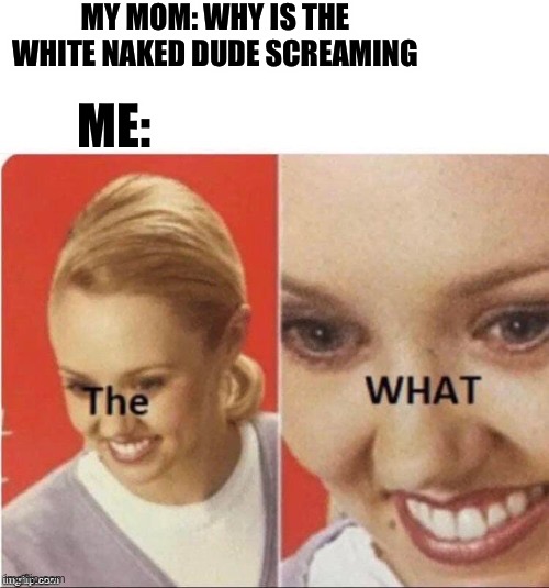 the what? | MY MOM: WHY IS THE WHITE NAKED DUDE SCREAMING; ME: | image tagged in the what | made w/ Imgflip meme maker