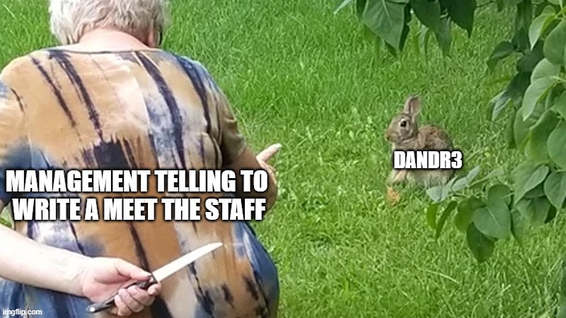 Old lady hiding knife to bunny | DANDR3; MANAGEMENT TELLING TO 
WRITE A MEET THE STAFF | image tagged in old lady hiding knife to bunny | made w/ Imgflip meme maker