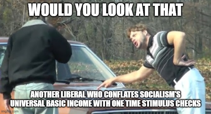 Would you look at that | WOULD YOU LOOK AT THAT ANOTHER LIBERAL WHO CONFLATES SOCIALISM'S UNIVERSAL BASIC INCOME WITH ONE TIME STIMULUS CHECKS | image tagged in would you look at that | made w/ Imgflip meme maker