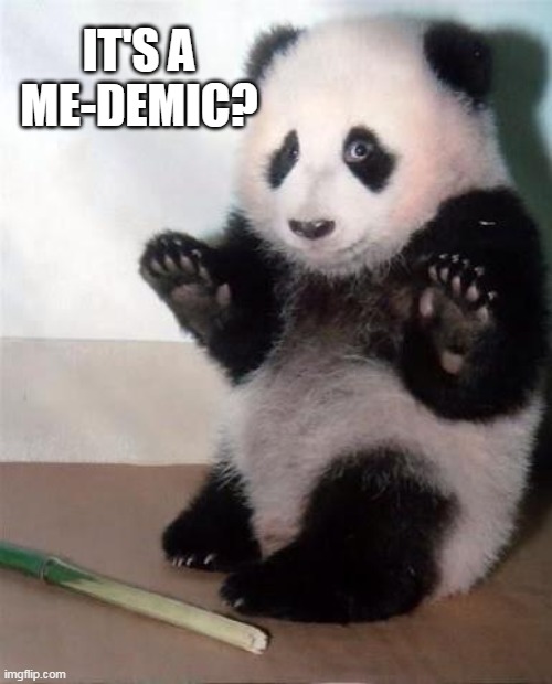 Panda emic |  IT'S A ME-DEMIC? | image tagged in hands up panda,covid,panda,pandemic,epidemic | made w/ Imgflip meme maker