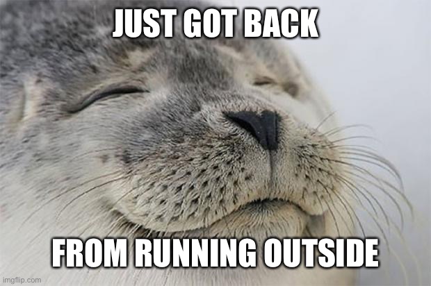 Satisfied Seal Meme | JUST GOT BACK FROM RUNNING OUTSIDE | image tagged in memes,satisfied seal | made w/ Imgflip meme maker