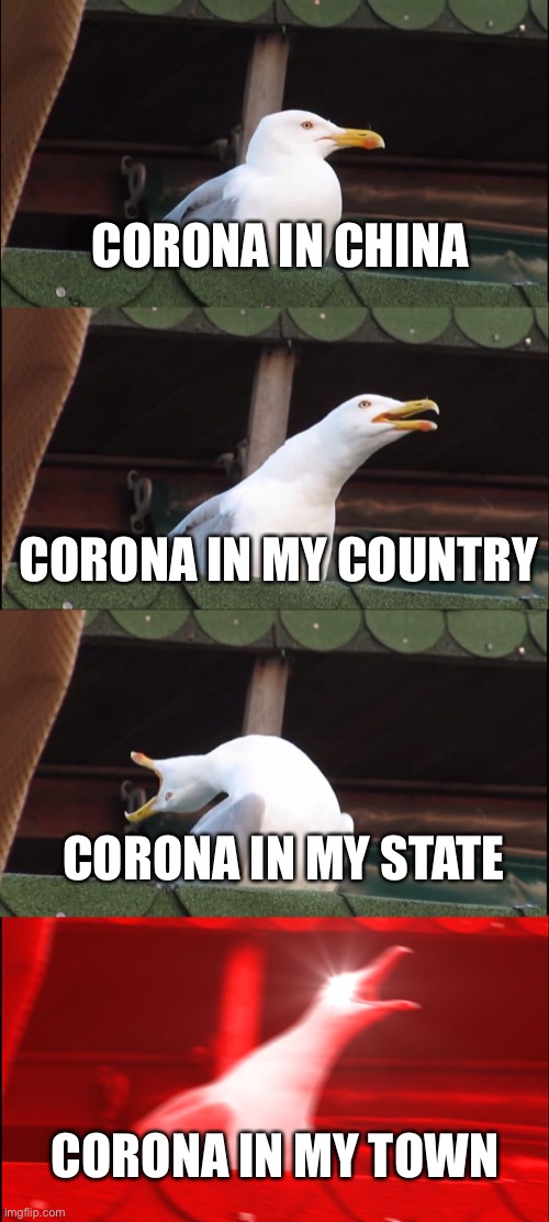 Inhaling Seagull Meme | CORONA IN CHINA; CORONA IN MY COUNTRY; CORONA IN MY STATE; CORONA IN MY TOWN | image tagged in memes,inhaling seagull | made w/ Imgflip meme maker