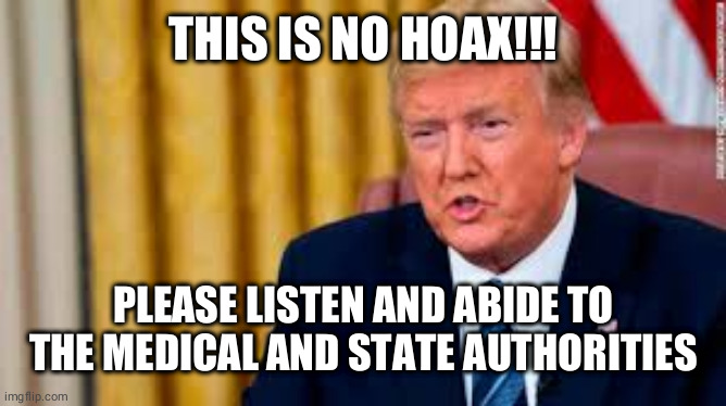 no hoax | THIS IS NO HOAX!!! PLEASE LISTEN AND ABIDE TO THE MEDICAL AND STATE AUTHORITIES | image tagged in no hoax | made w/ Imgflip meme maker