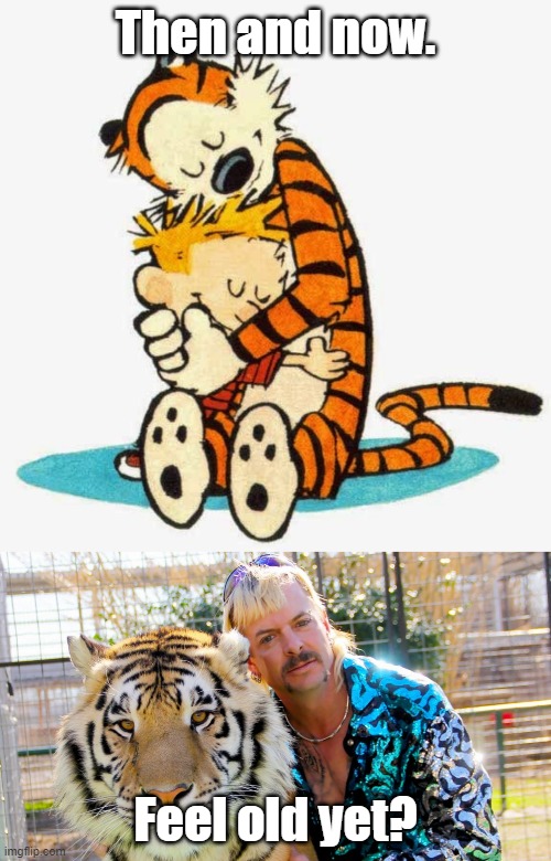 Childhood shattered |  Then and now. Feel old yet? | image tagged in calvin and hobbes,tiger king,joe exotic | made w/ Imgflip meme maker