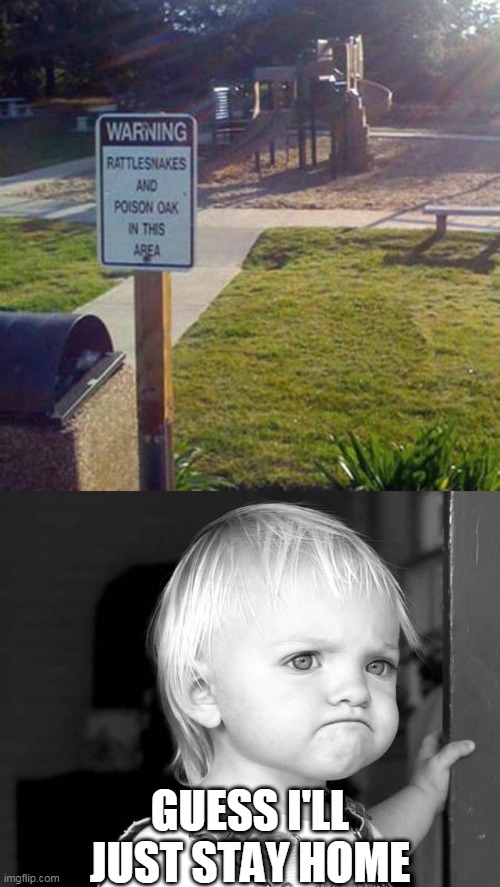 ? | GUESS I'LL JUST STAY HOME | image tagged in frown kid,memes,playground,stupid signs,fail | made w/ Imgflip meme maker