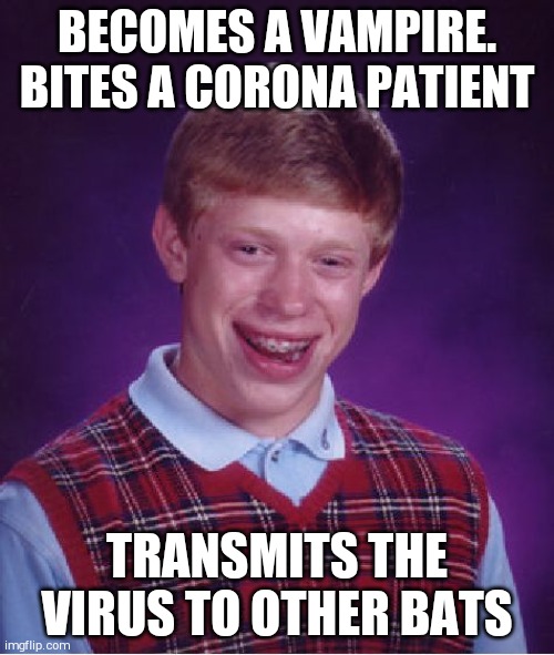 Bad Luck Brian Meme | BECOMES A VAMPIRE. BITES A CORONA PATIENT; TRANSMITS THE VIRUS TO OTHER BATS | image tagged in memes,bad luck brian | made w/ Imgflip meme maker