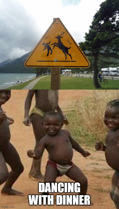 WTF? | DANCING WITH DINNER | image tagged in memes,third world success kid,stupid signs,wtf | made w/ Imgflip meme maker