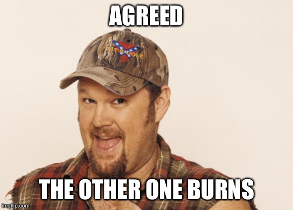 Now that's funny right there | AGREED THE OTHER ONE BURNS | image tagged in now that's funny right there | made w/ Imgflip meme maker