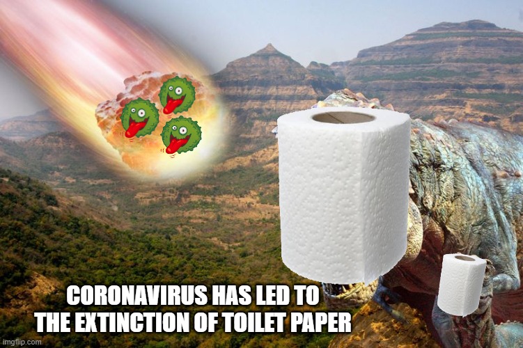Coronavirus is killing our precious toilet paper!! | CORONAVIRUS HAS LED TO THE EXTINCTION OF TOILET PAPER | image tagged in meme,coronavirus,toilet paper | made w/ Imgflip meme maker