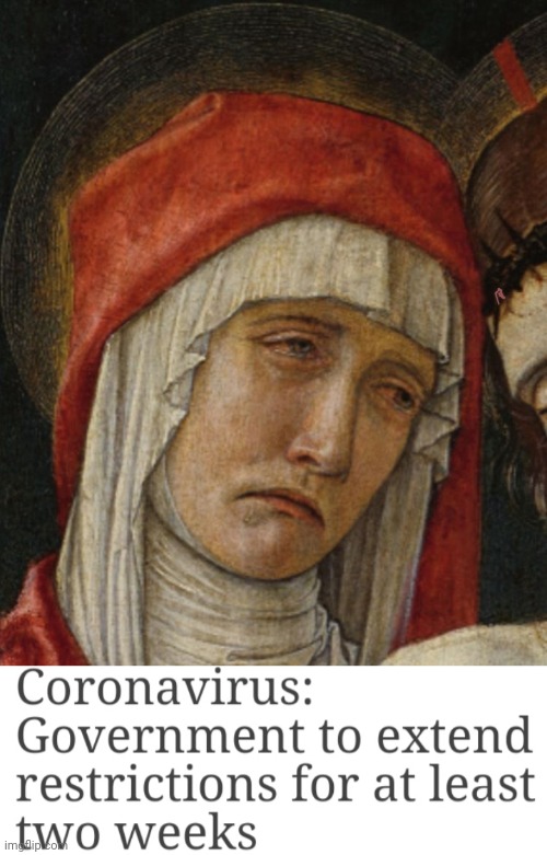 image tagged in coronavirus | made w/ Imgflip meme maker