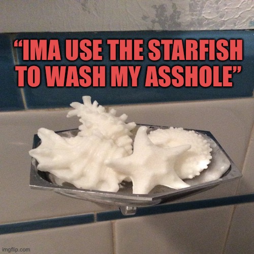 soap | “IMA USE THE STARFISH TO WASH MY ASSHOLE” | image tagged in soap | made w/ Imgflip meme maker