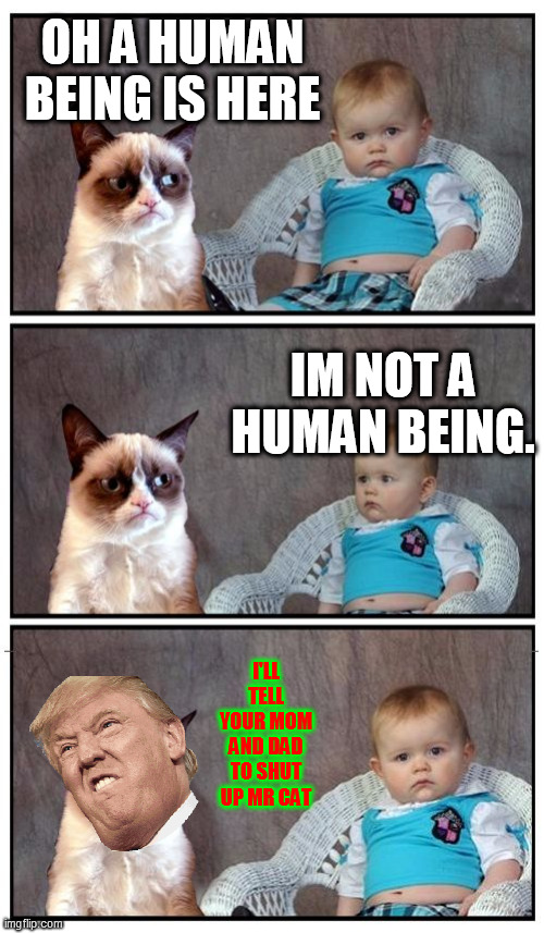 Not a Human Being. | OH A HUMAN BEING IS HERE; IM NOT A HUMAN BEING. I'LL TELL YOUR MOM AND DAD TO SHUT UP MR CAT | image tagged in dad joke cat | made w/ Imgflip meme maker