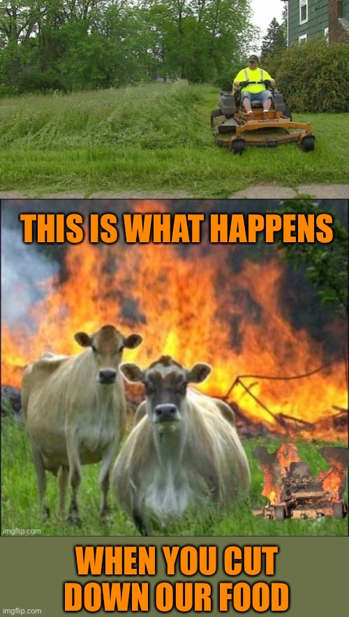 What do cows think when they see you mowing? | THIS IS WHAT HAPPENS; WHEN YOU CUT DOWN OUR FOOD | image tagged in memes,evil cows,44colt,mowing,summer,food | made w/ Imgflip meme maker