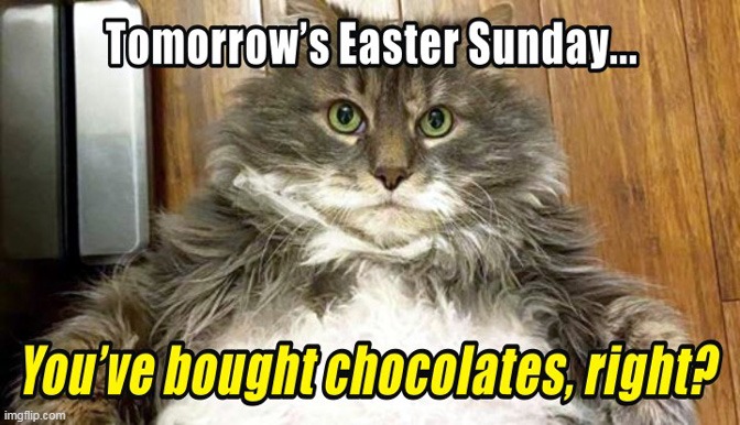 Fat Cat Meme of The Day | image tagged in memes,cats,fat cat,easter | made w/ Imgflip meme maker