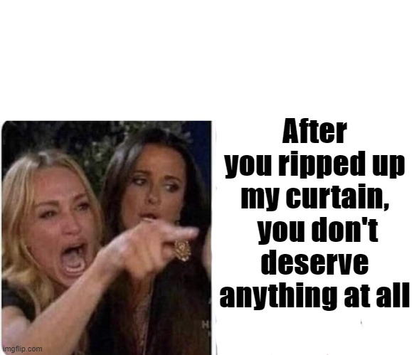 Lady Yelling at Cat | After you ripped up my curtain,  you don't deserve anything at all | image tagged in lady yelling at cat | made w/ Imgflip meme maker