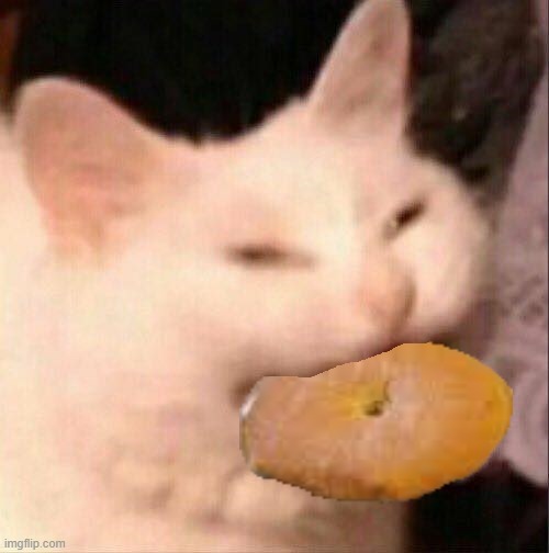bagel cat | image tagged in cat,bagel,cringe | made w/ Imgflip meme maker
