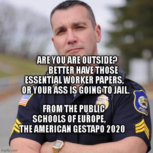 Cop | ARE YOU ARE OUTSIDE?         BETTER HAVE THOSE ESSENTIAL WORKER PAPERS,       OR YOUR ASS IS GOING TO JAIL. FROM THE PUBLIC SCHOOLS OF EUROPE,       THE AMERICAN GESTAPO 2020 | image tagged in cop | made w/ Imgflip meme maker